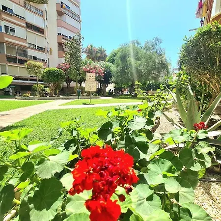 Gaviotas 2 Room- Rent Malaga *
